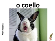 O coello